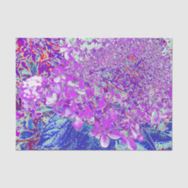 Elegantes Lila und blaues Limelight Hydrangea Seidenpapier