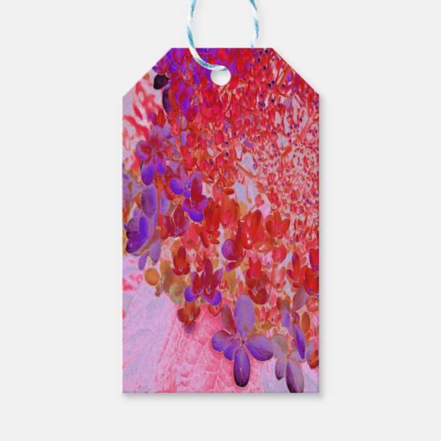 Elegantes Lila und Orange Limelight Hydrangea Geschenkanhänger (Vorderseite)