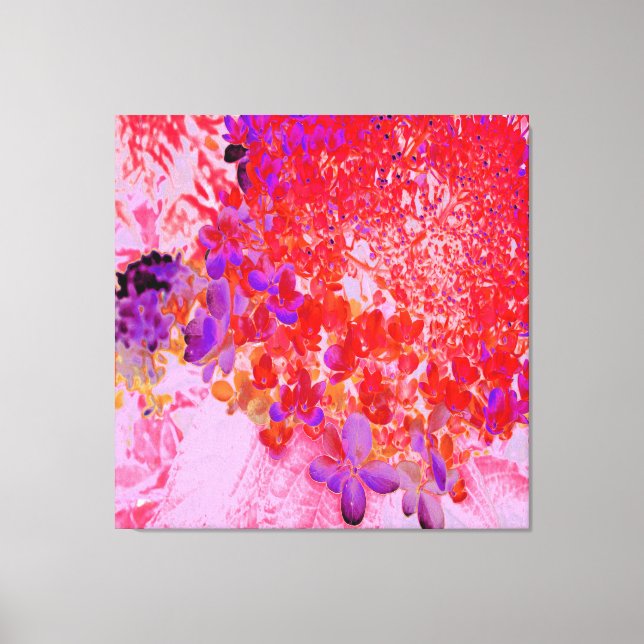 Elegantes Lila und Orange Limelight Hydrangea Leinwanddruck (Vorderseite)