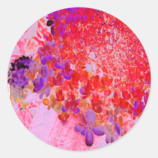 Elegantes Lila und Orange Limelight Hydrangea Runder Aufkleber (Vorderseite)