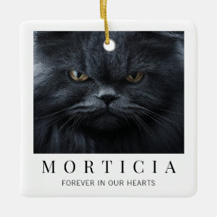 Elegantes minimalistisches modernes Katzenfoto-Mem Keramikornament
