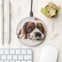 Elegantes, modernes Foto für Hundehunde