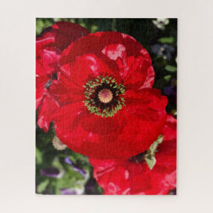 Elegantes modernes Foto Roter Mohn Blume Californi Puzzle