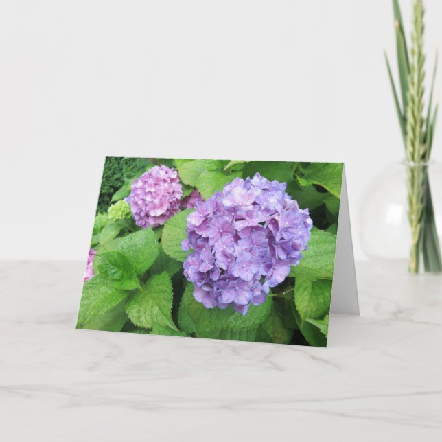Elegantes modernes Lila Hydrangeas-Foto-Beileid Karte (Vorderseite)