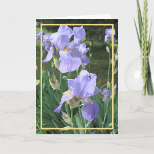 Elegantes modernes lila Iris-Foto im goldenen Rahm Karte