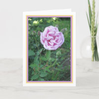 Elegantes, modernes Rosa Lila Rose Foto Goldrahmen