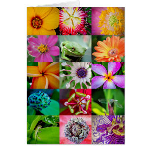 Elegantes Muster für Blume und Kreaturen