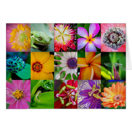 Elegantes Muster für Blume und Kreaturen