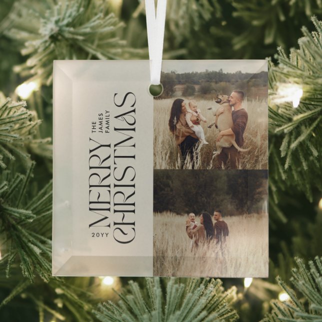 Elegantes natürliches Blattwerk, modern, minimalis Ornament Aus Glas (Insitu)