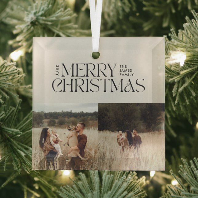 Elegantes natürliches Blattwerk, modern, minimalis Ornament Aus Glas (Insitu)