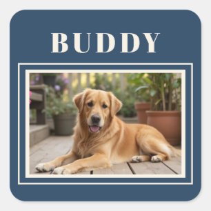 Elegantes Navy-Blau-Hunde-Foto Quadratischer Aufkleber