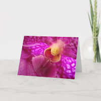Elegantes Orchid-Grafik-Foto