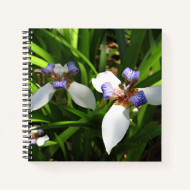 Elegantes Orchid Hard Cover Journal Notizbuch