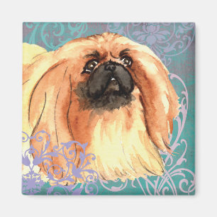 Elegantes Pekingese Magnet
