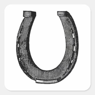 Elegantes Pferd Vintages Horseshoe Quadratischer Aufkleber