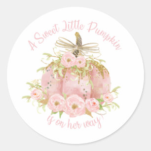 Elegantes Pink Pumpkin Baby Shower Girl Runder Aufkleber