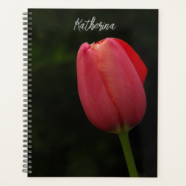 Elegantes Pink Tulip Foto Script Personalisiert Planer (Vorderseite)