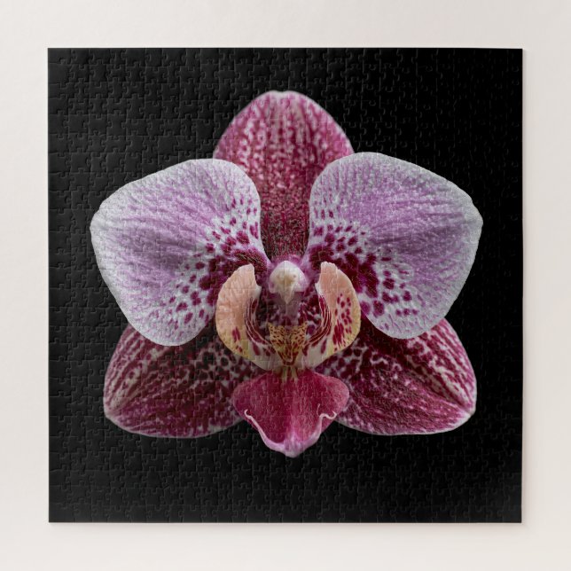 Elegantes Poster der botanischen Orchideensammlung Puzzle (Vertikal)