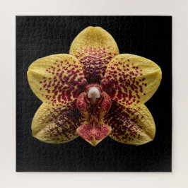 Elegantes Poster der botanischen Orchideensammlung Puzzle