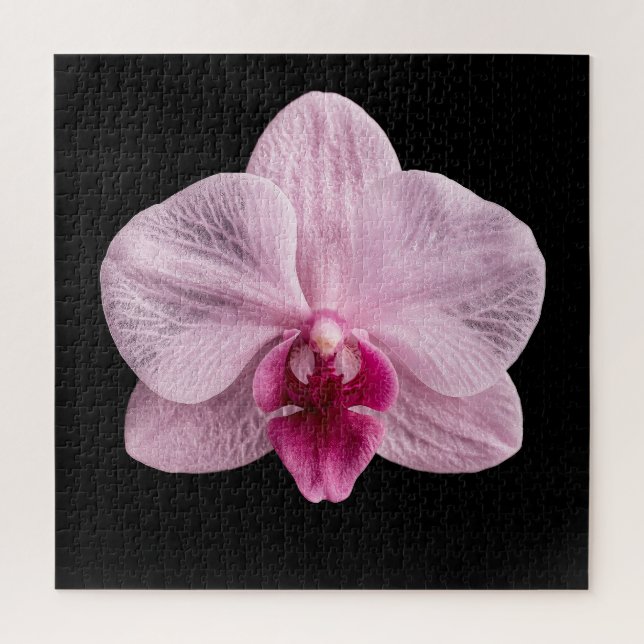 Elegantes Poster der botanischen Orchideensammlung Puzzle (Vertikal)
