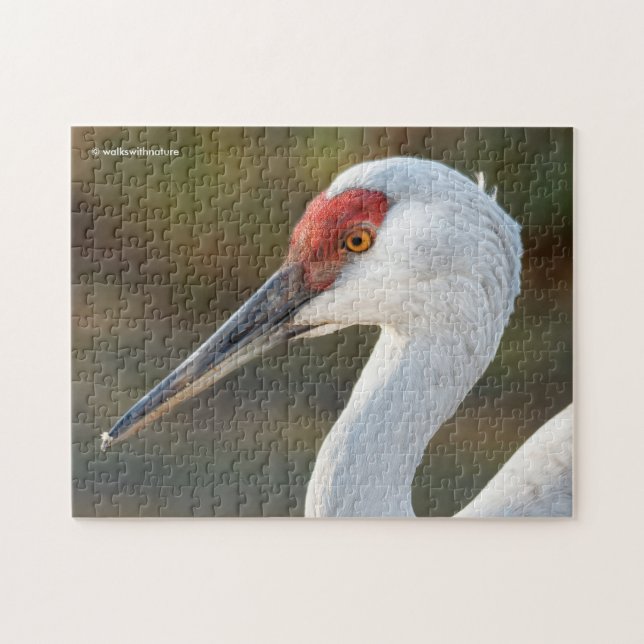 Elegantes Profil eines großen Sandhügelkrans Puzzle (Horizontal)