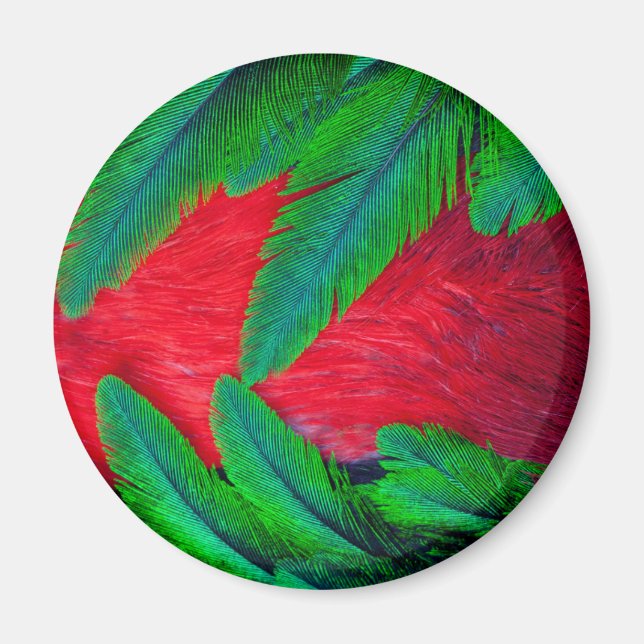 Elegantes Quetzal-Federdesign Magnet (Vorne)