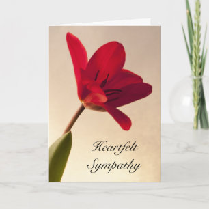 Elegantes Red Tulip Beileid Karte
