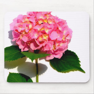 Elegantes rosa, blumenrosa Hydrangea Mousepad