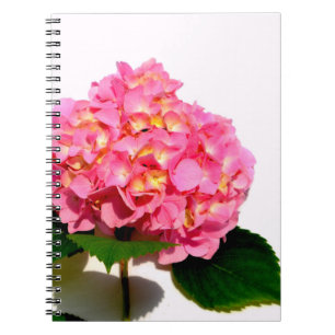 Elegantes rosa, blumenrosa Hydrangea Notizblock