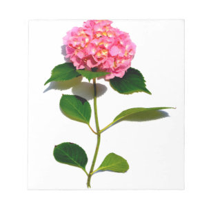 Elegantes rosa, blumenrosa Hydrangea Notizblock