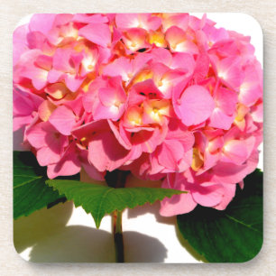 Elegantes rosa, blumenrosa Hydrangea Untersetzer