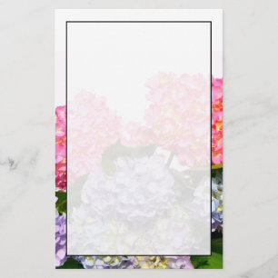 Elegantes rosa, lila blaues Blumengestein Hydrange Briefpapier