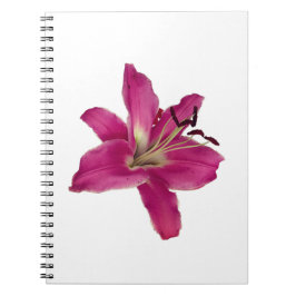 Elegantes Rosa Lily - Blumenästhetisches Notebook Notizblock