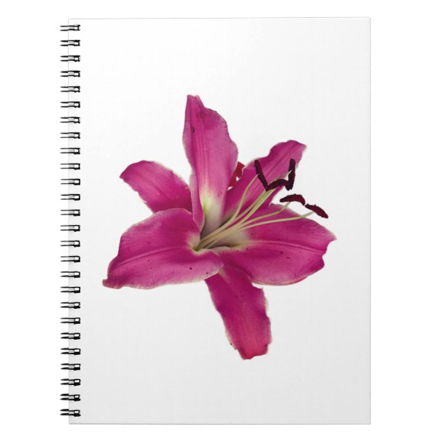 Elegantes Rosa Lily - Blumenästhetisches Notebook Notizblock (Vorderseite)