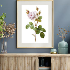 Elegantes rosa rosa botanisches Printable Poster