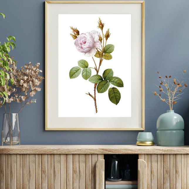 Elegantes rosa rosa botanisches Printable Poster (Von Creator hochgeladen)