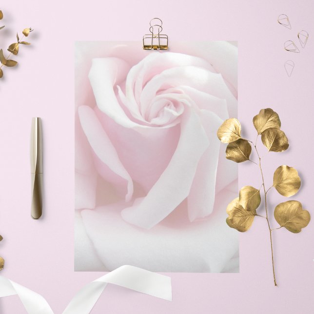 Elegantes rosa Rosenbläser Blumengestationspapier (In Situ)