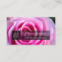 Elegantes rosa Rosenblüten, graues Rechteck