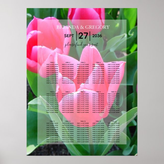 Elegantes rosa Tulips Hochzeitssattel Poster (Vorne)