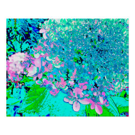 Elegantes rosa und blaues Limelight Hydrangea Poster