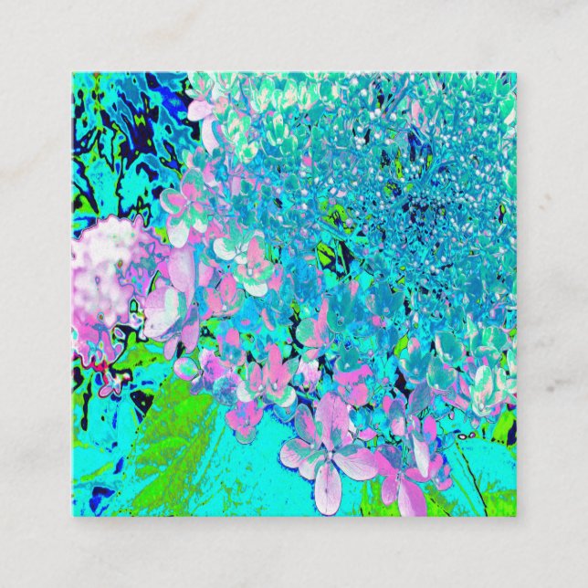 Elegantes rosa und blaues Limelight Hydrangea Quadratische Visitenkarte (Vorderseite)