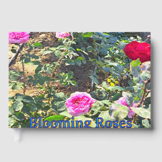 Elegantes Rosen-Gästebuch in Rosa und Rot Gästebuch