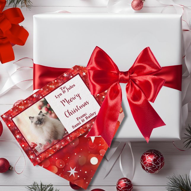 Elegantes Rot-Weiß-Foto Geschenkanhänger (Elegant Red & White Holiday Star Gift Tag)