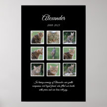 Elegantes Schwarz-Tierposter mit 9 Fotosteckplätze