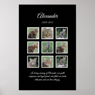 Elegantes Schwarz-Tierposter mit 9 Fotosteckplätze Poster