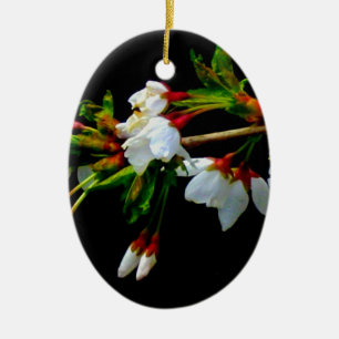 Elegantes, Schwarz-weiß blühendes weißes Blossom Keramikornament