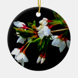 Elegantes, Schwarz-weiß blühendes weißes Blossom Keramikornament