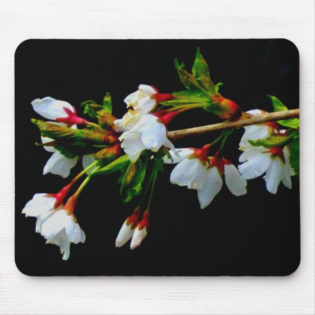 Elegantes, Schwarz-weiß blühendes weißes Blossom Mousepad (Vorne)