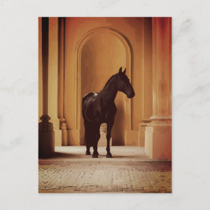 Elegantes schwarzes Pferd in goldenem Torbogen Postkarte