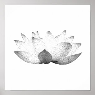 Elegantes Schwarzes & Weißes Lotus Floral Poster